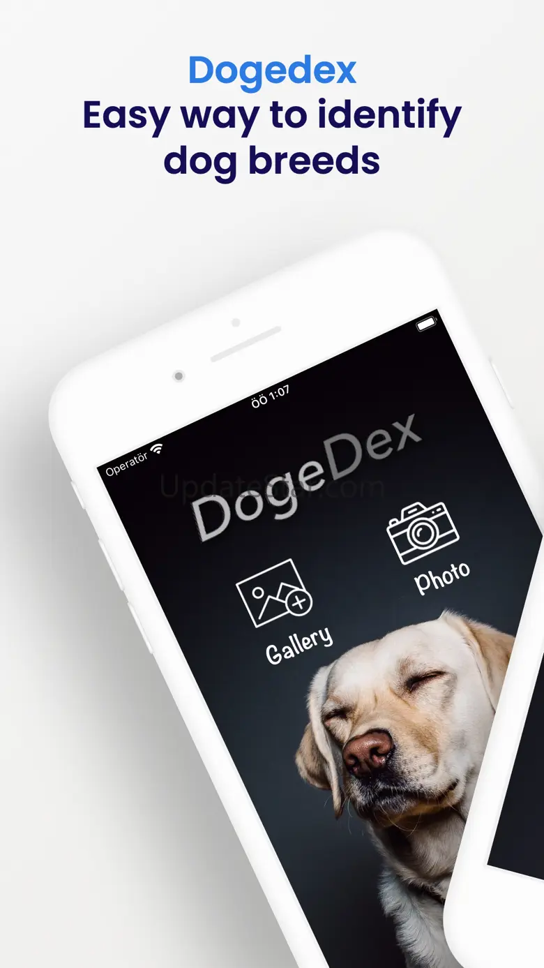 DogeDex - dog recognizer 1.1.2