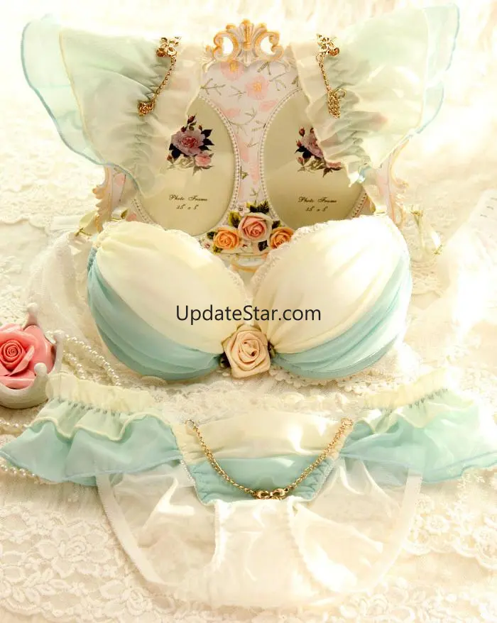 Bra And Panties Designs 9.0