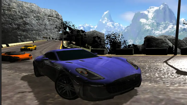 Real Car Race 1.1