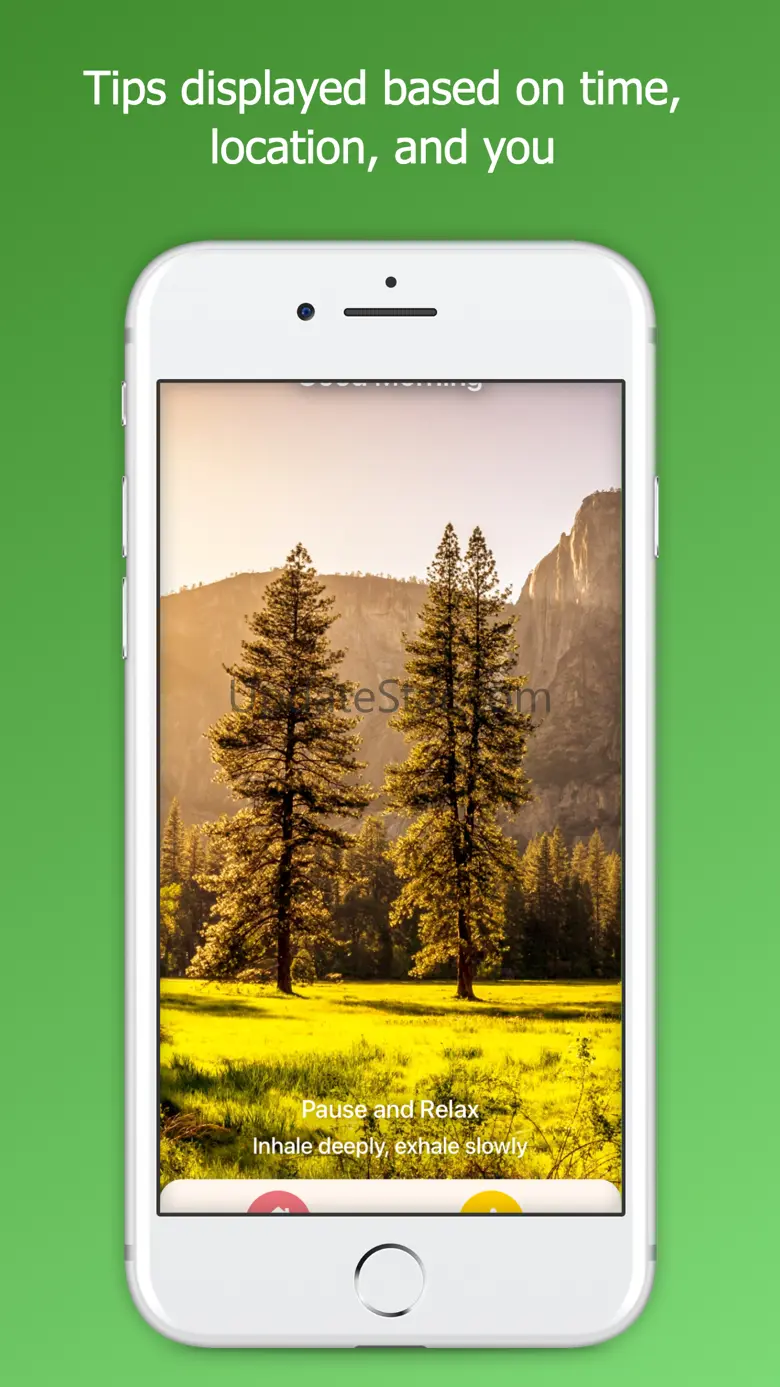 Rize: Smarter Decisions Now 1.2.5
