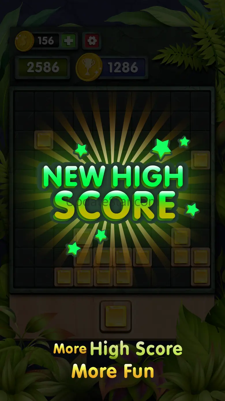 10s Amazing! Wood Block Puzzle 1.0.3