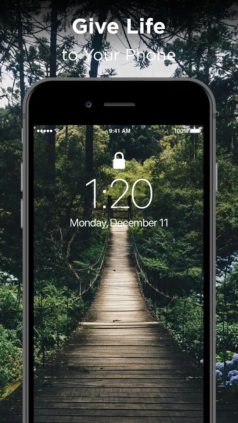 Live Wallpapers ゜ 1.4