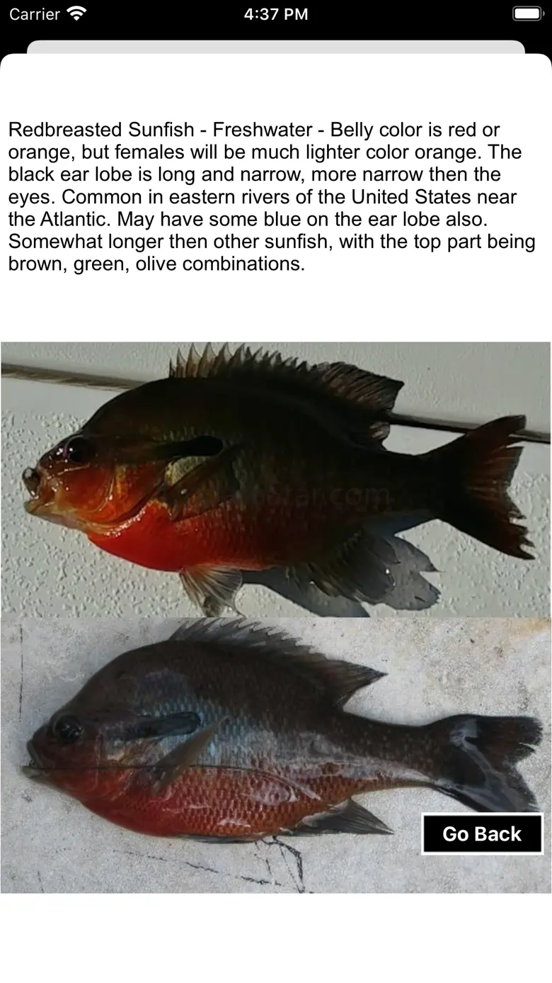 Fisherman's Fish ID 2.6
