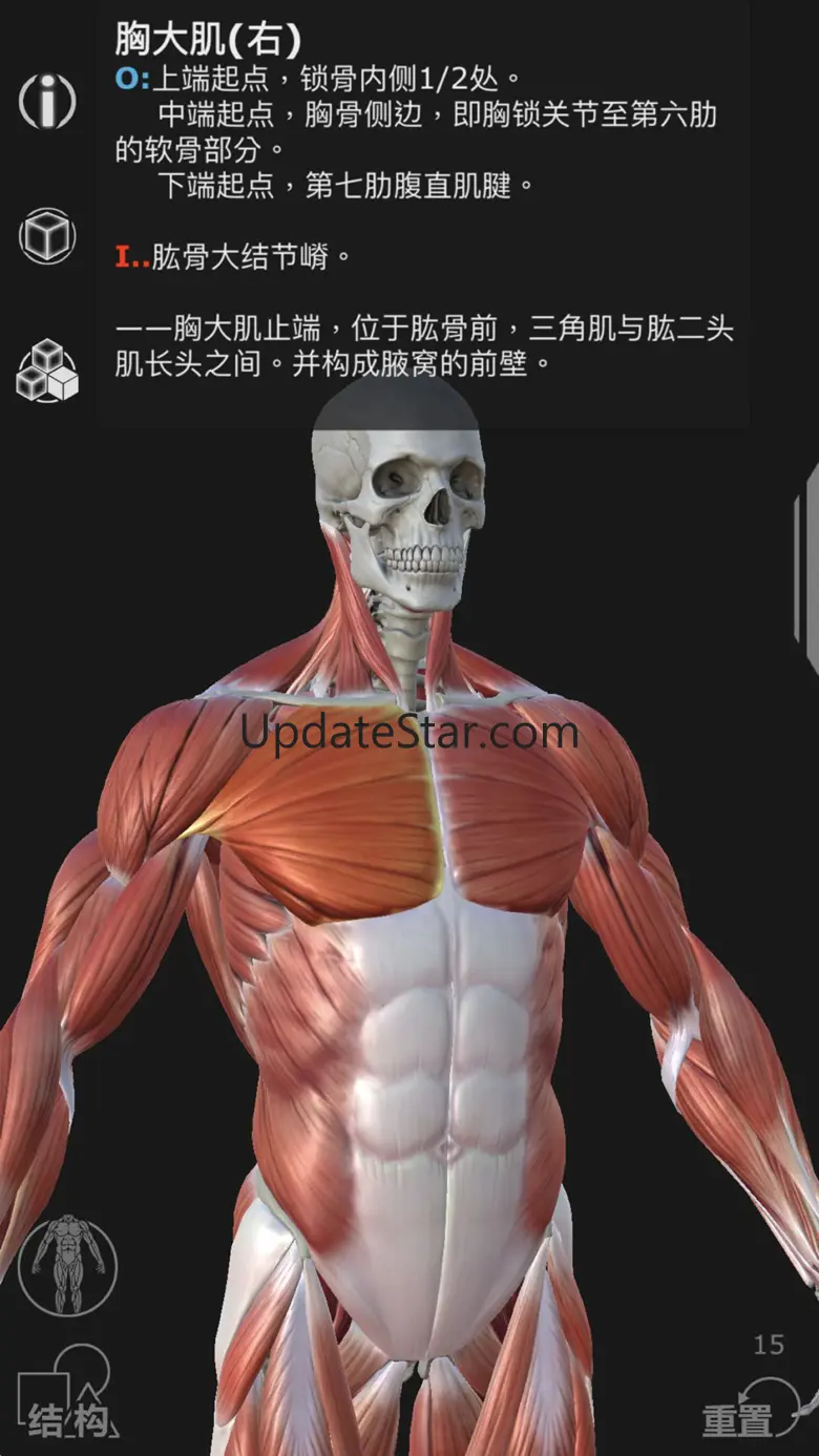 Artist's Anatomy 1.0.2