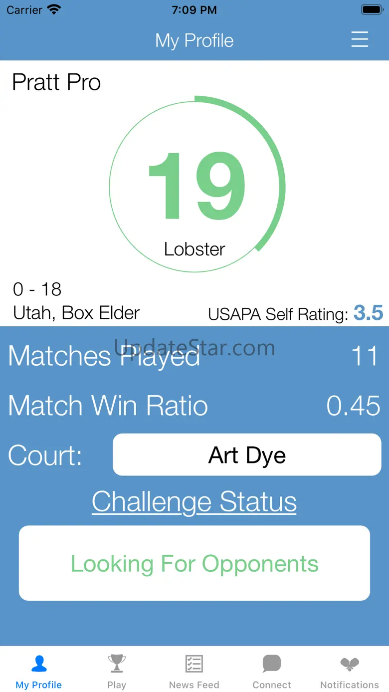 Pickleball Gamer 2.0