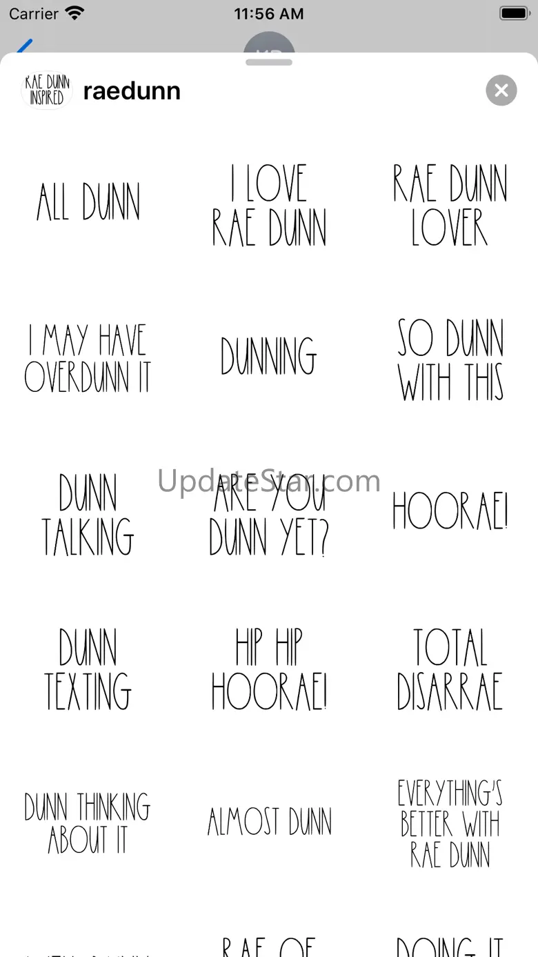 Rae Dunn Inspired 2.0