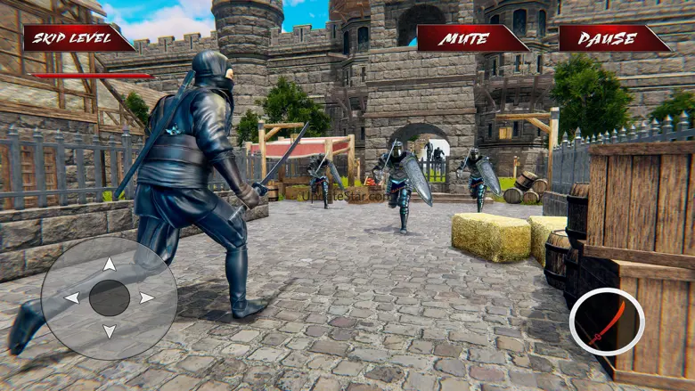 The Ninja: Shadow Assassin 3D 1.0
