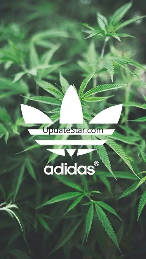 Weed Joint Wallpapers HD : 200 1.0