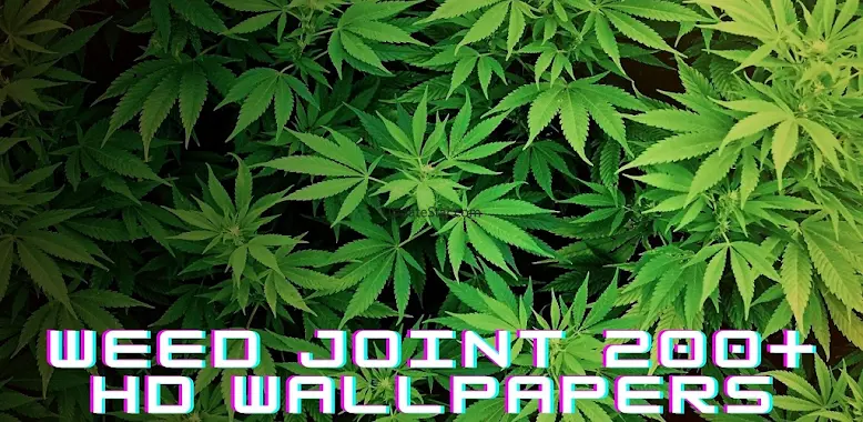 Weed Joint Wallpapers HD : 200 1.0