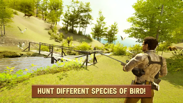 Classic Bird Hunt 2021 1.25