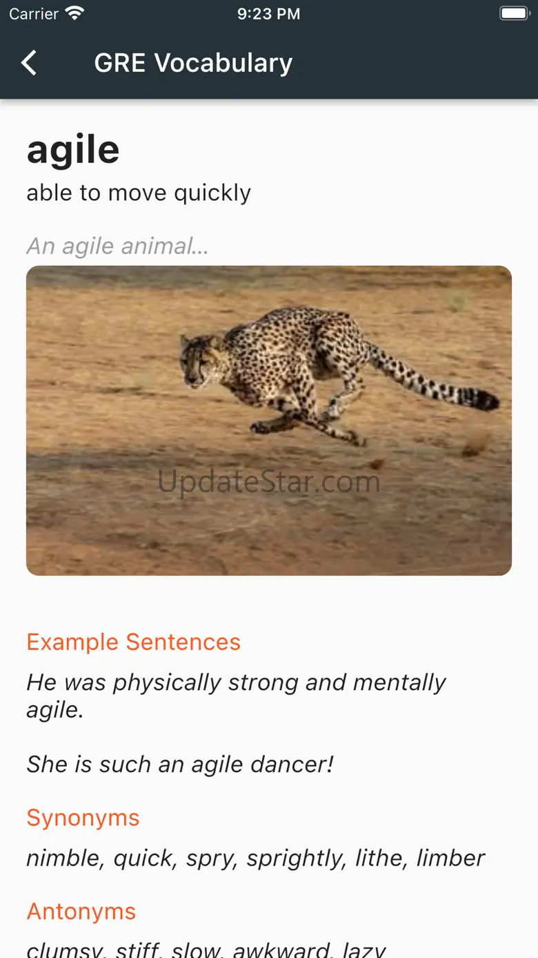 GRE Visual Vocabulary 1.3