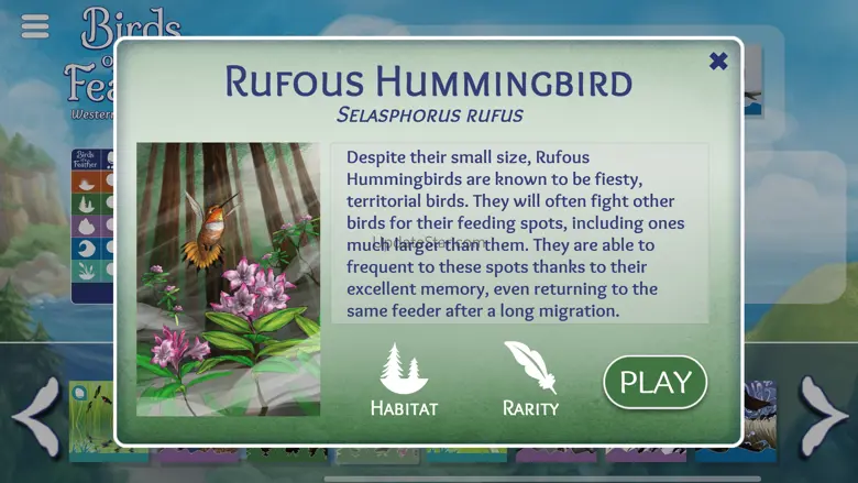 Birds of a Feather Card Game 2.0