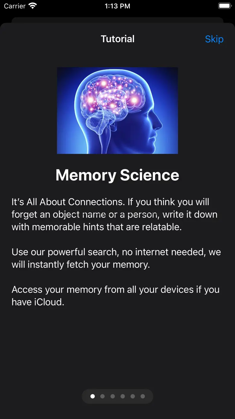 Memory Vault Plus 2.1