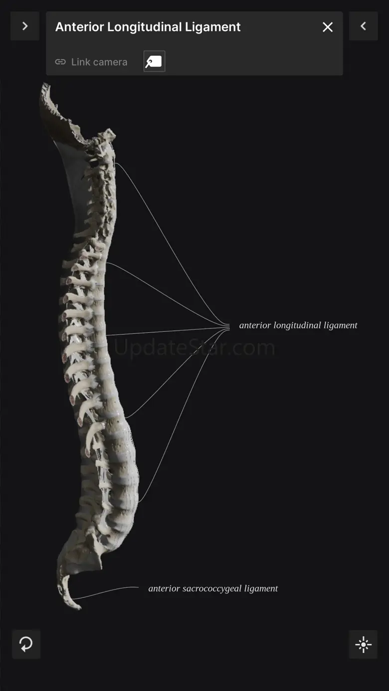 Biomechanics of the Spine Lite 1.02.2