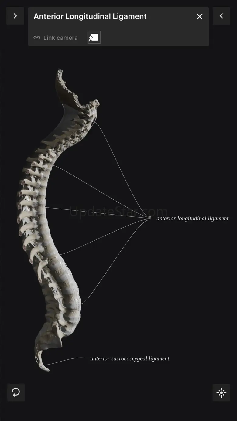Biomechanics of the Spine Lite 1.02.2
