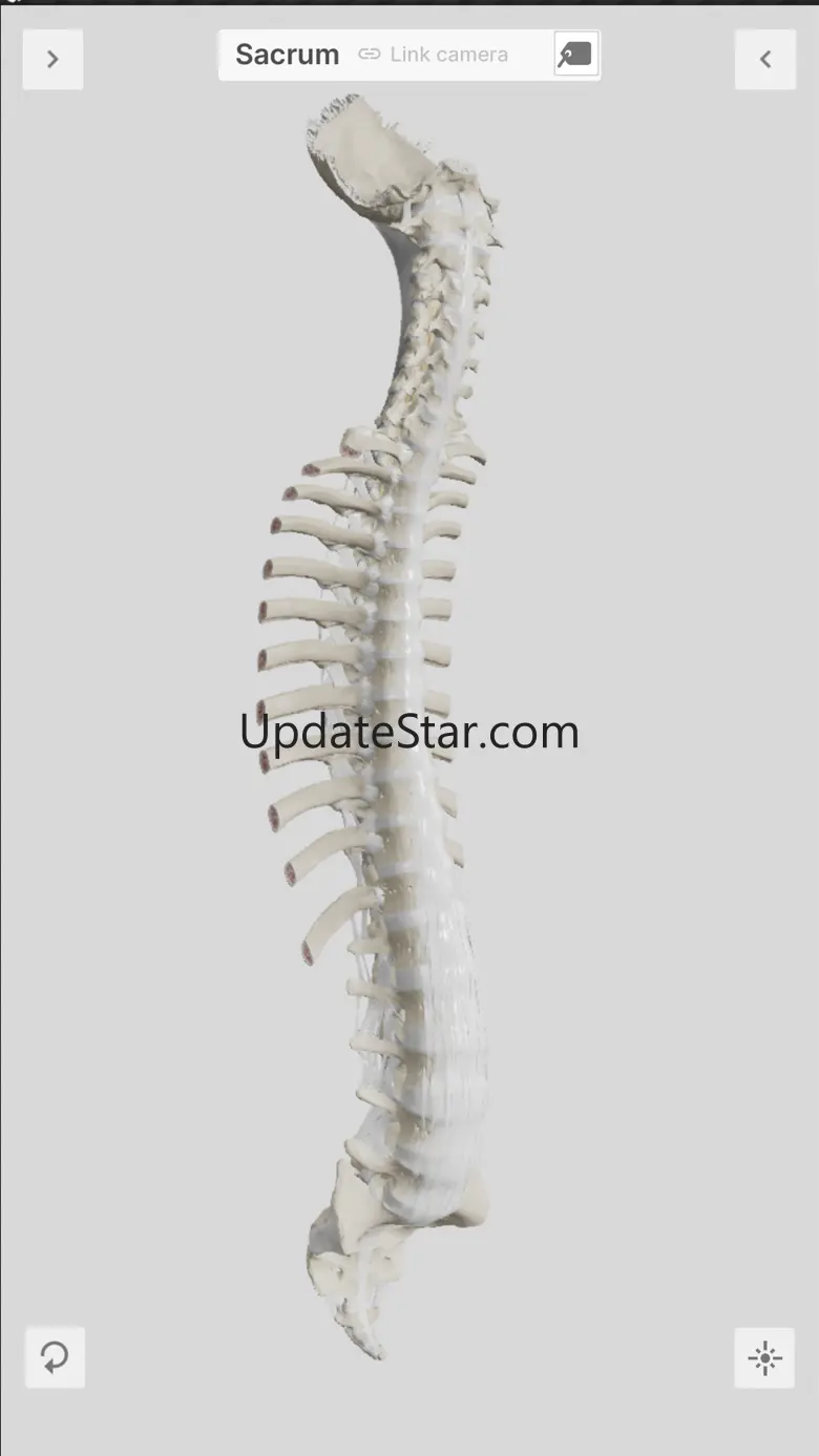 Biomechanics of the Spine Lite 1.02.2