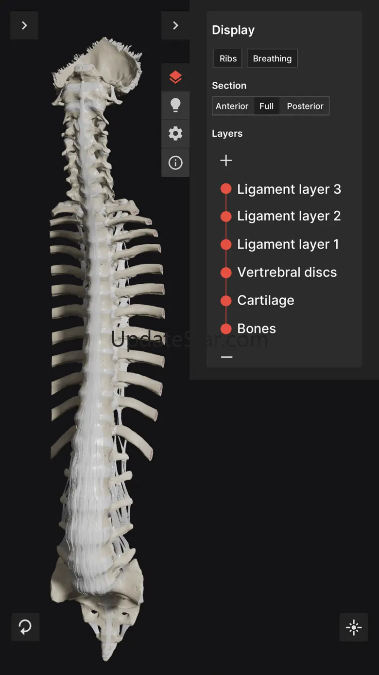 Biomechanics of the Spine Lite 1.02.2