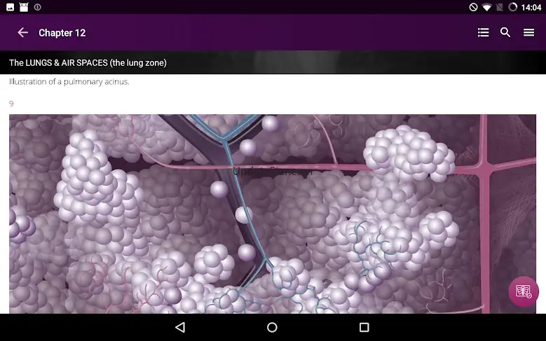 Chest X-Ray DEMO 1.3.1