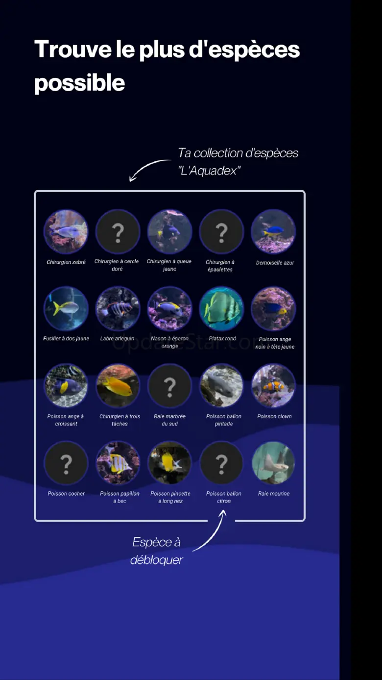 SeaScan 2.11.0