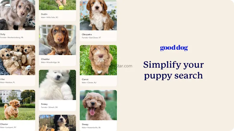 Good Dog: Find Your New Puppy 2.7.0