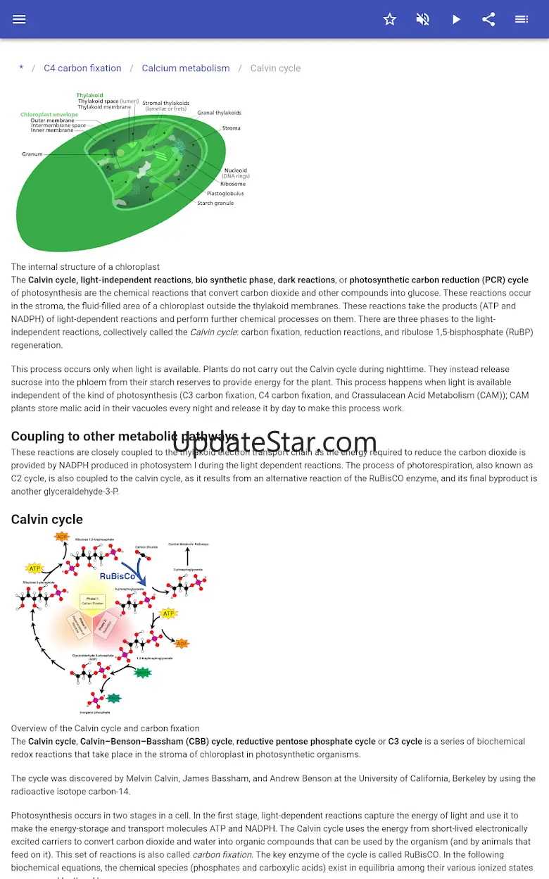 Biological process 80.91.30