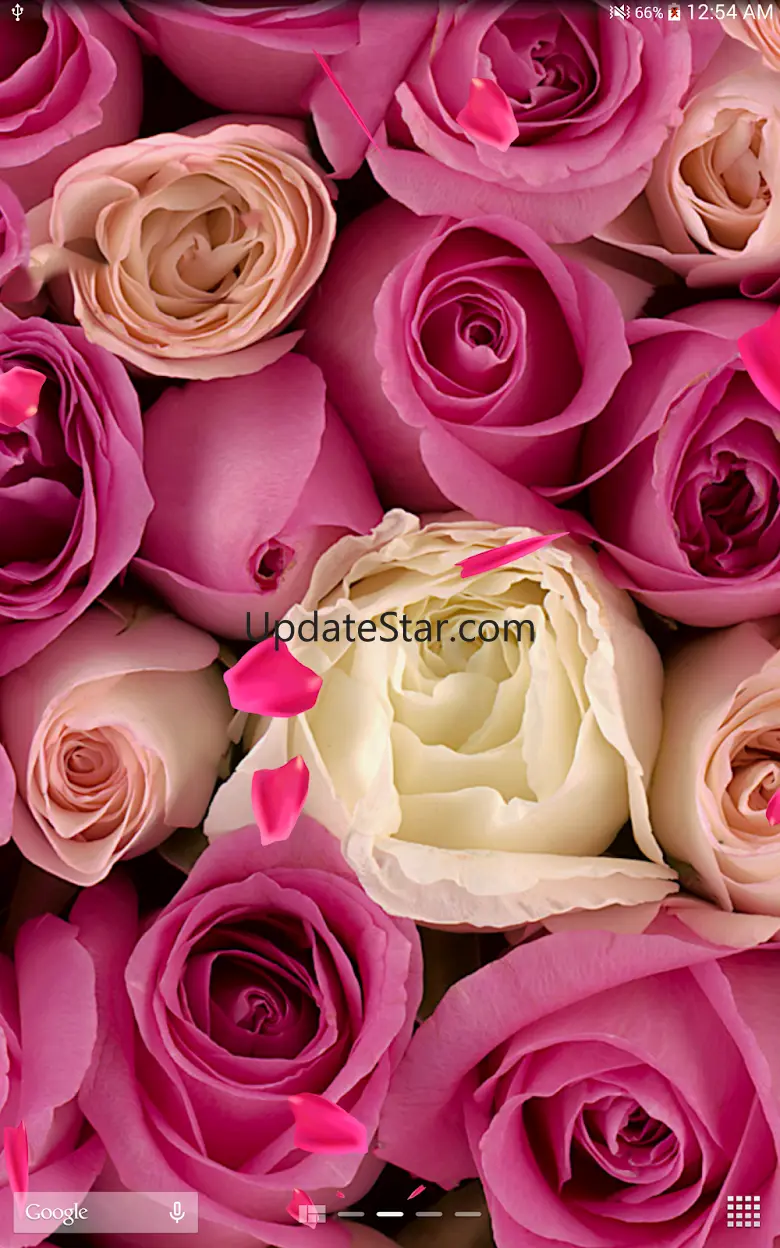 3D Rose Live Wallpaper 1.0.3