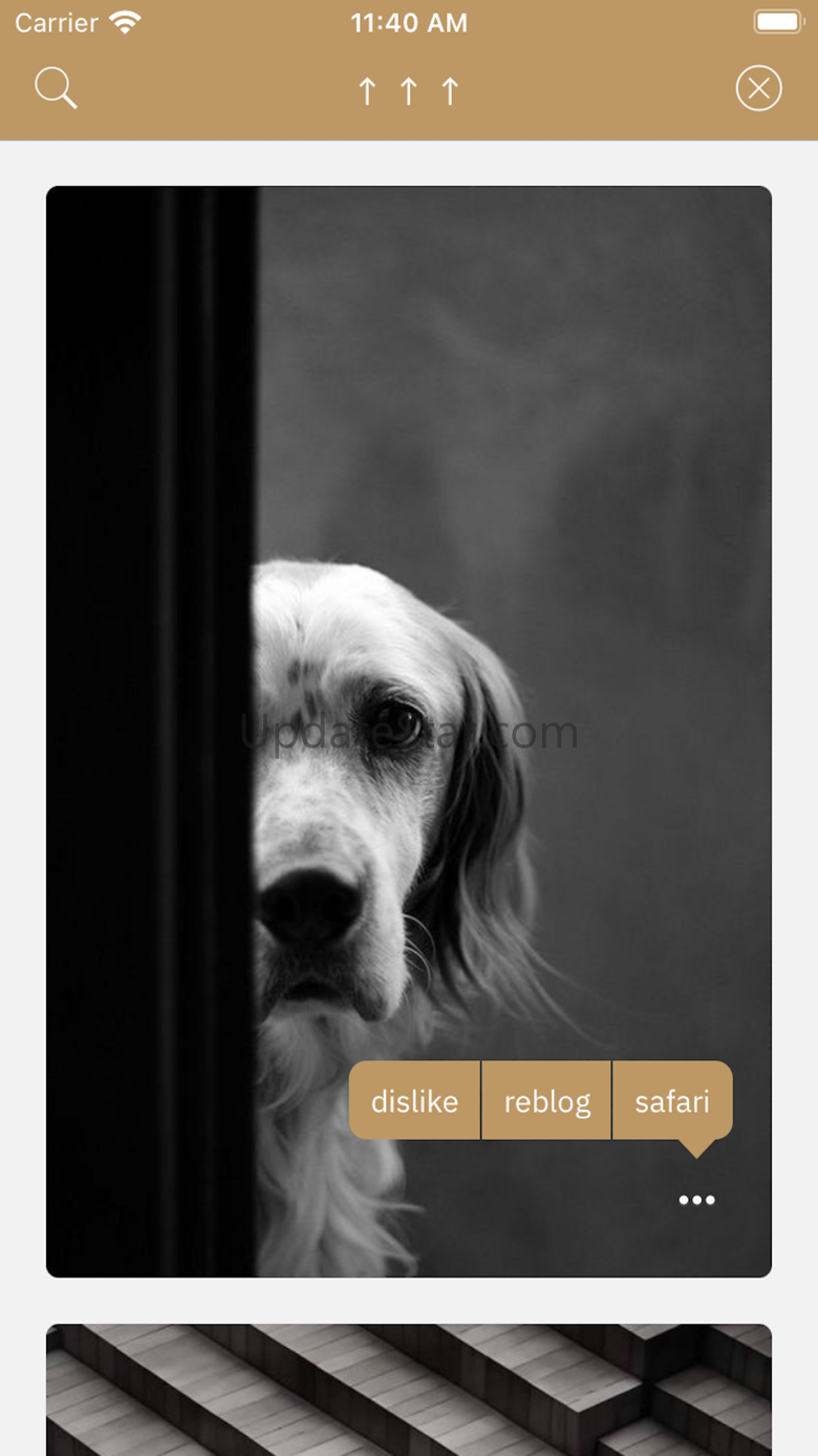 T Plus One - A tumblr client 1.0.20