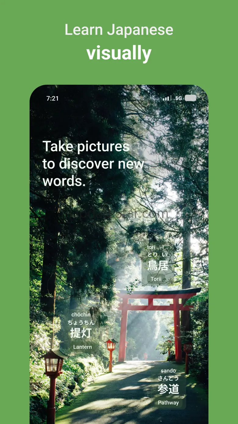 Lingosnap: Language Learning 1.25.7