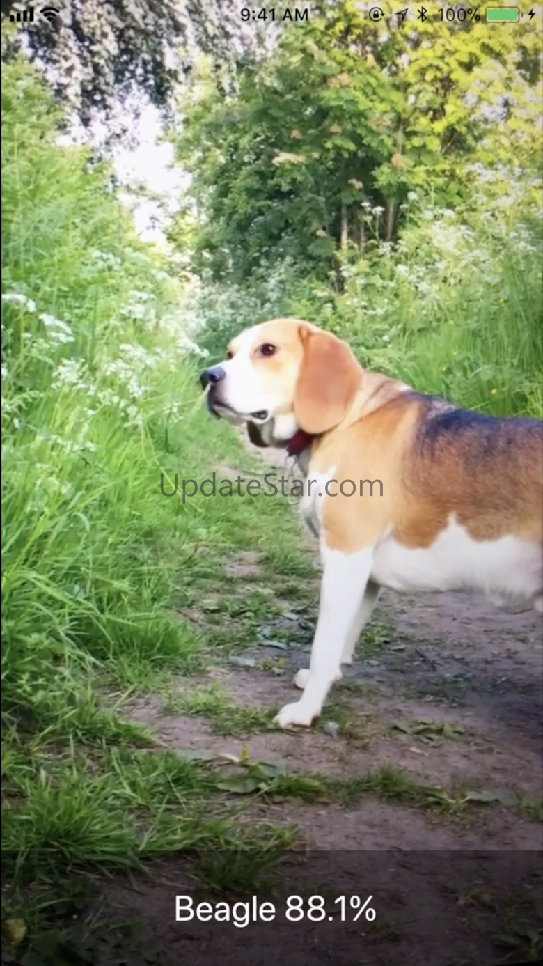 Dog Identifier- Dog ID Camera 1.1
