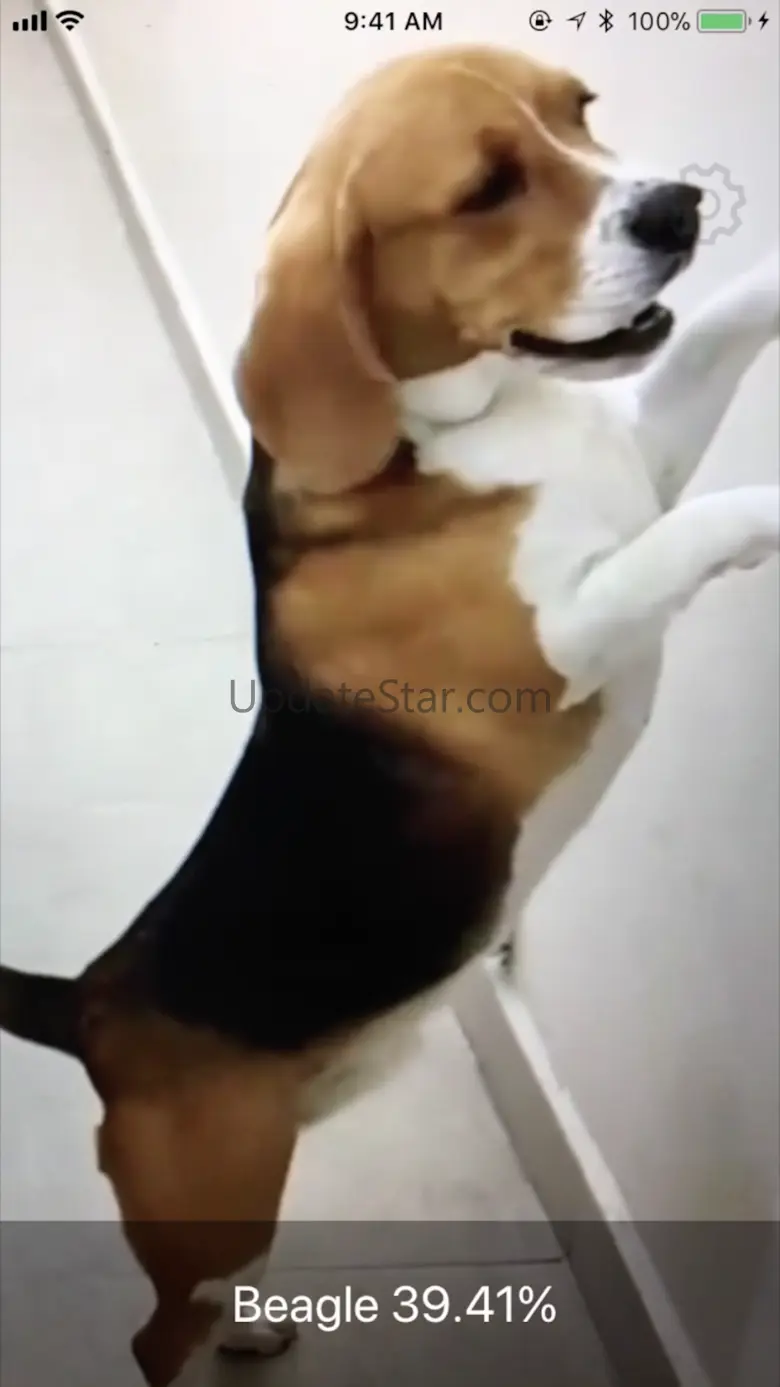 Dog Identifier- Dog ID Camera 1.1