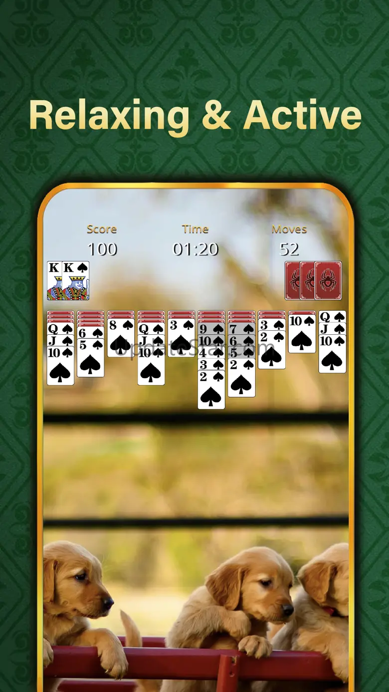 Solitaire Relax®Classic Spider 1.5.1