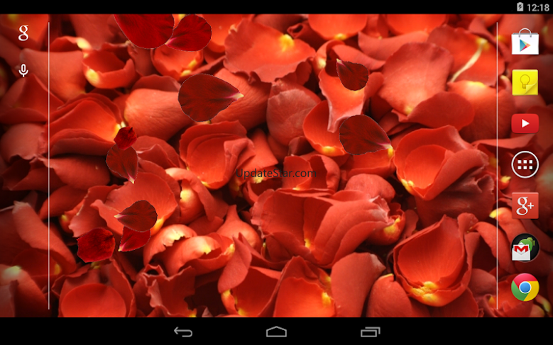 Rose petals Live Wallpaper 2.0