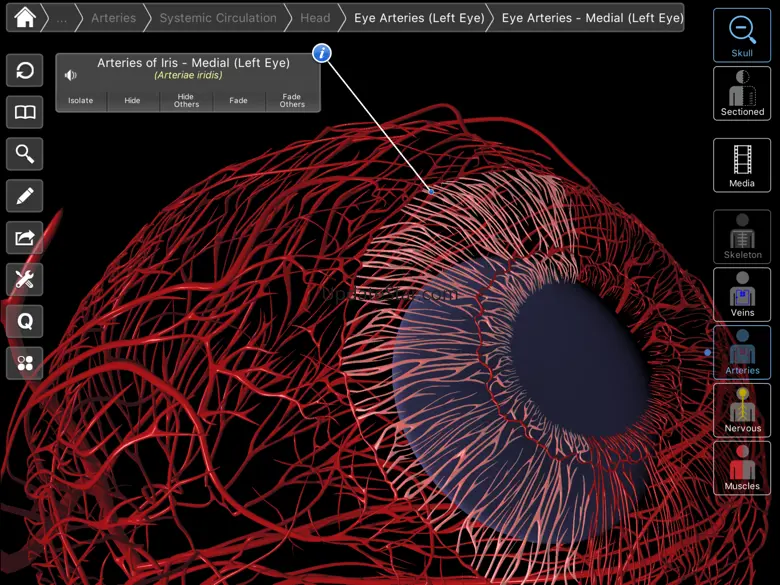 Essential Eye 1.1
