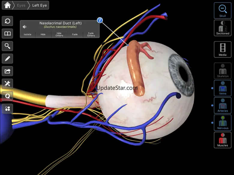 Essential Eye 1.1