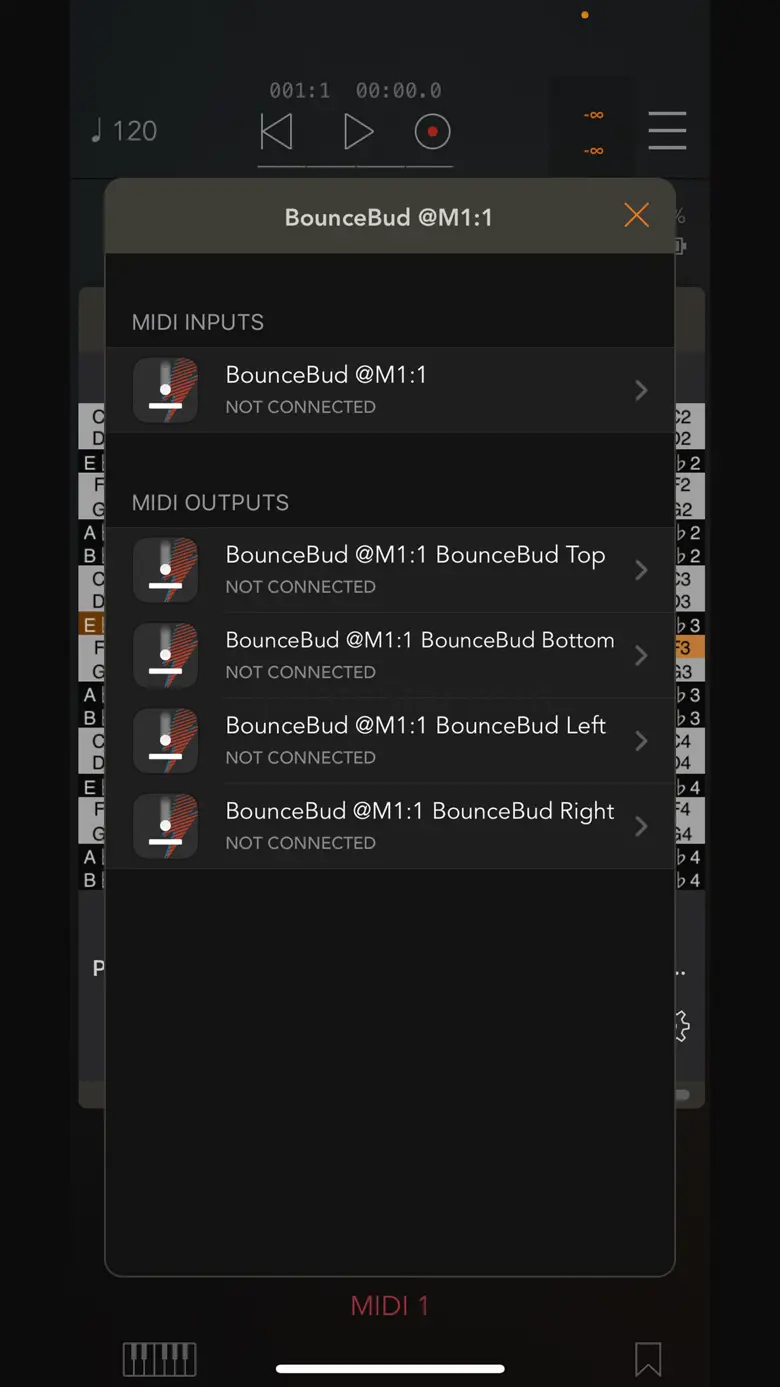 BounceBud Physics Based MIDI 1.7