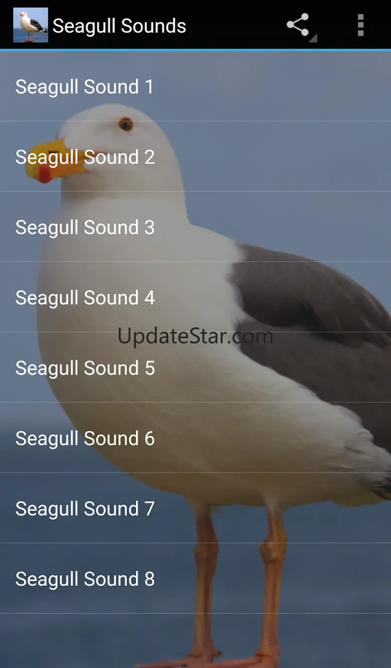 Seagull Sounds 1.0