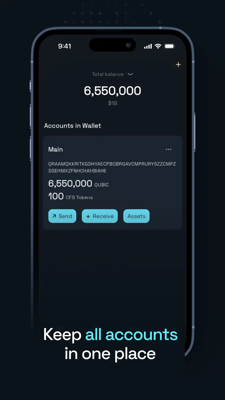 Qubic Wallet 1.1.3