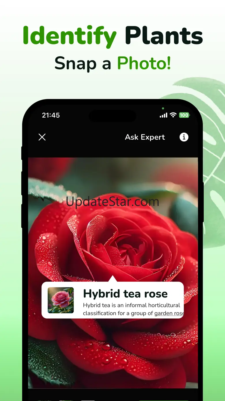 Plant ID & Disease Identifier 5.3.0