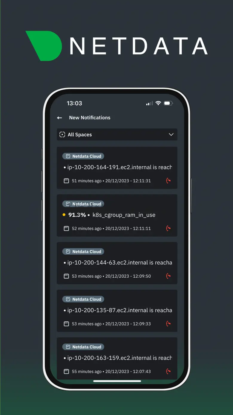 Netdata Mobile 1.0.1