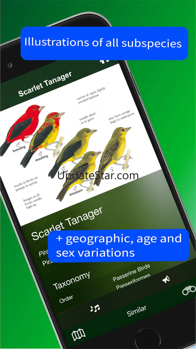 All Birds Trinidad and Tobago 2.1