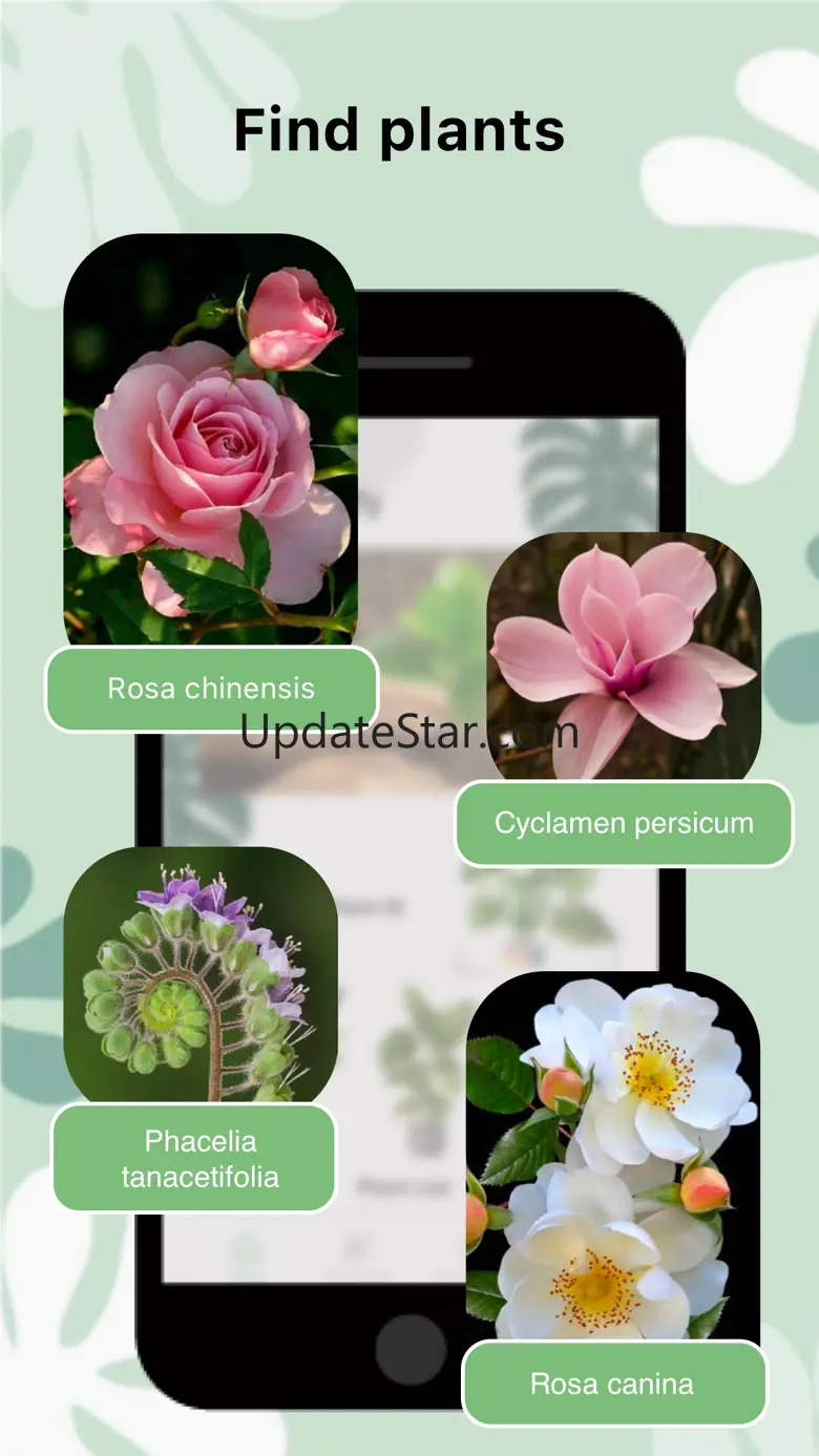 Plant Care And Identification 1.2.3
