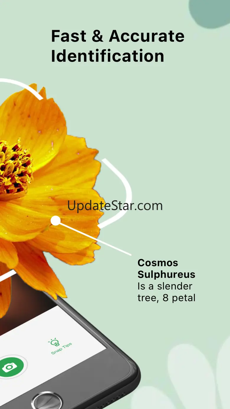 Plant Care And Identification 1.2.3