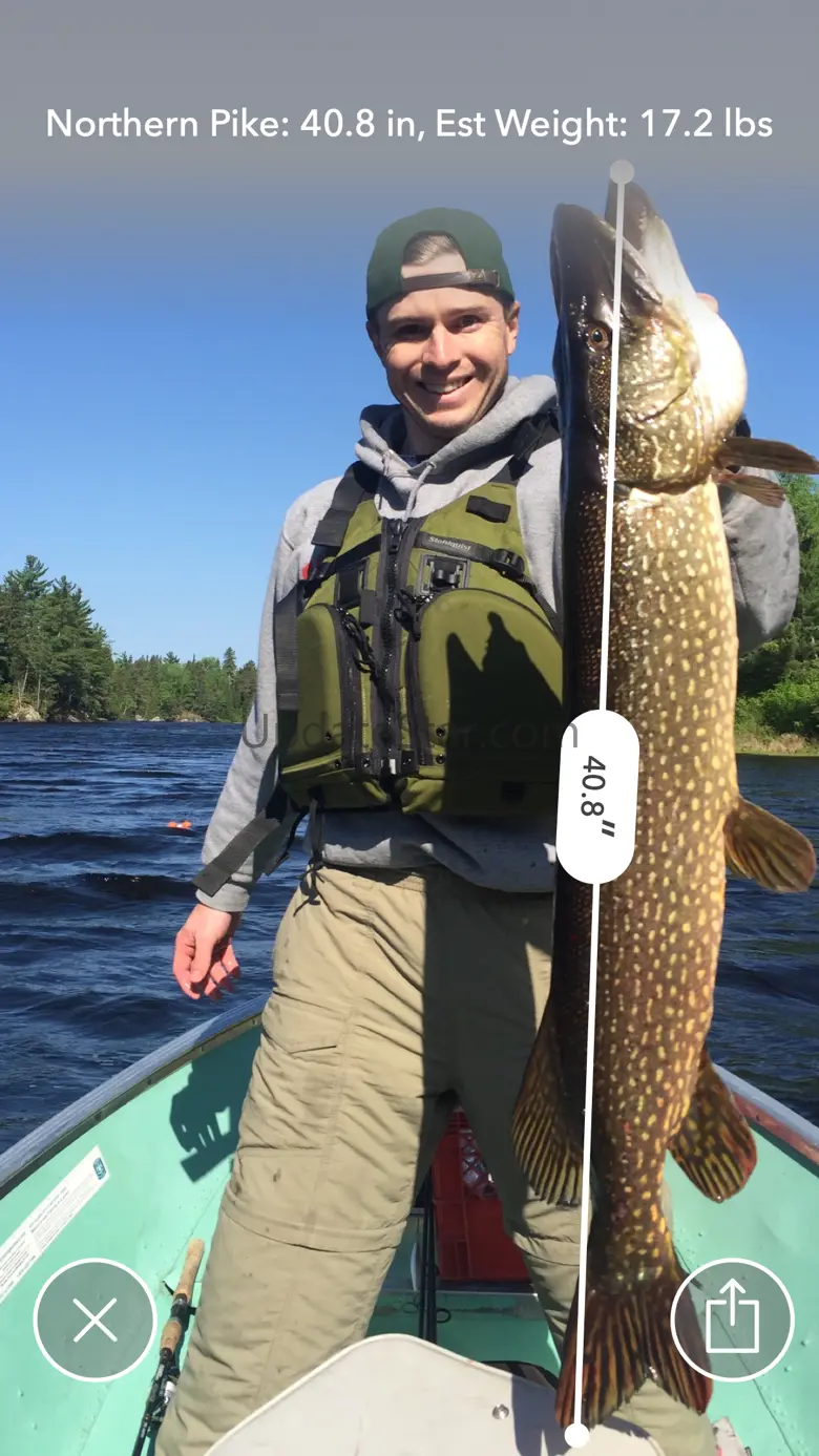 Weigh In: Fish Length Tracker 1.0