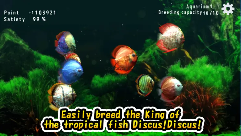 Discus museum 1.0.2