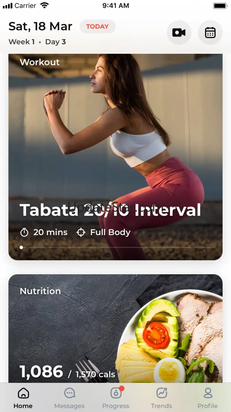 Shape Shifter Fitness 3.0