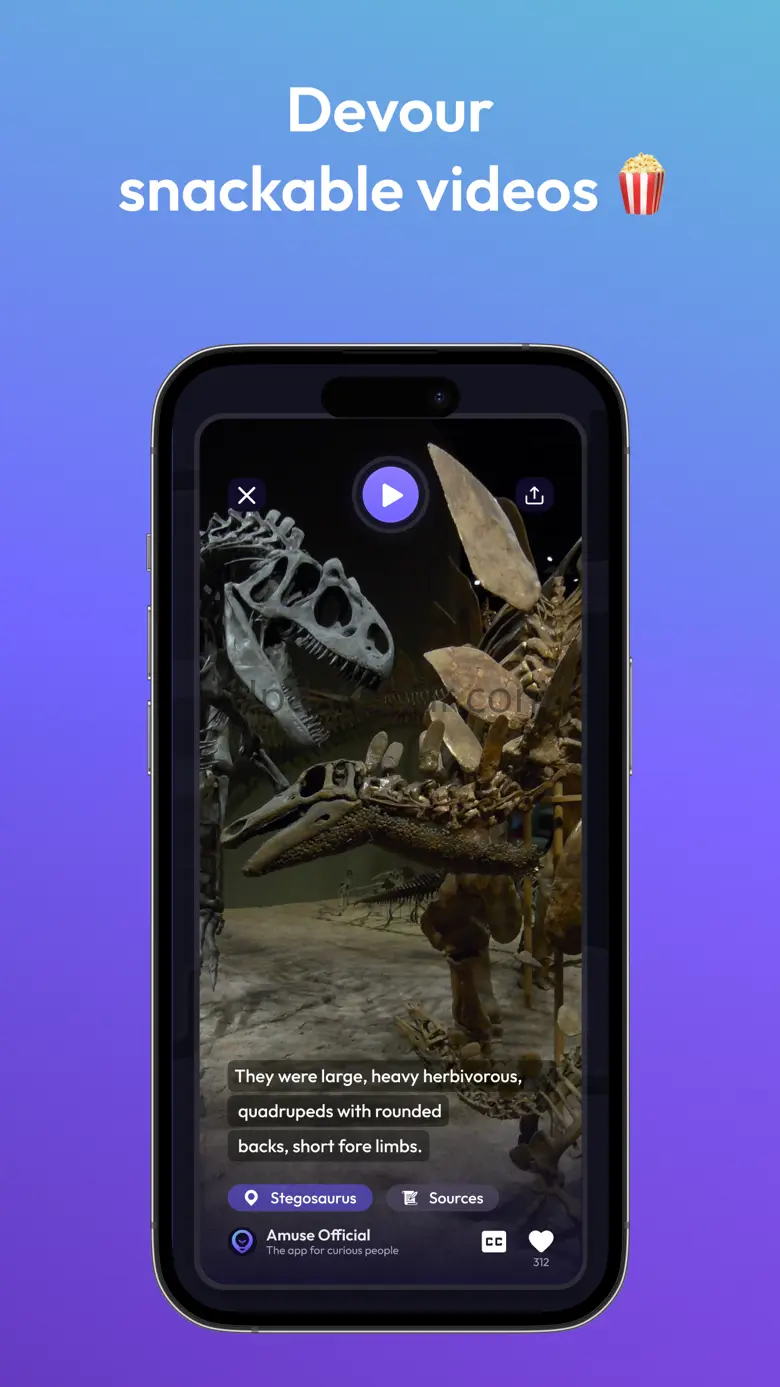 Amuse: Museum and City Guide 1.4.3