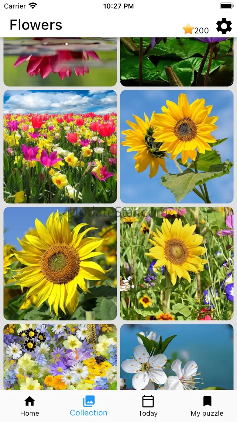 Jigsaw Puzzles Collections 2.3.3
