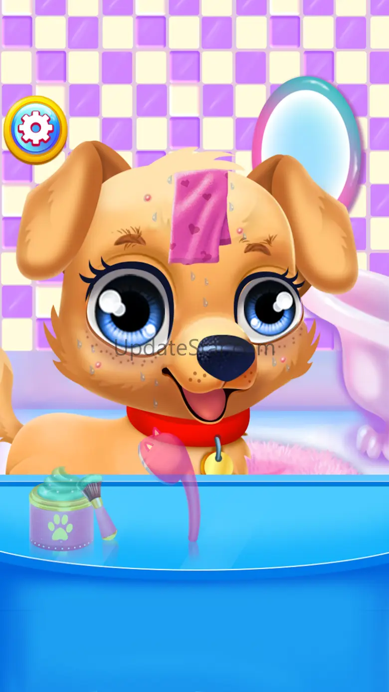Labrador Puppy Pet Vet Care 1.0