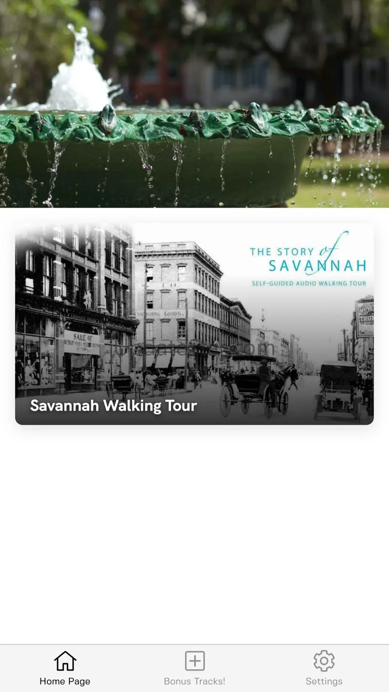 Savannah Walking Tour 020504000004