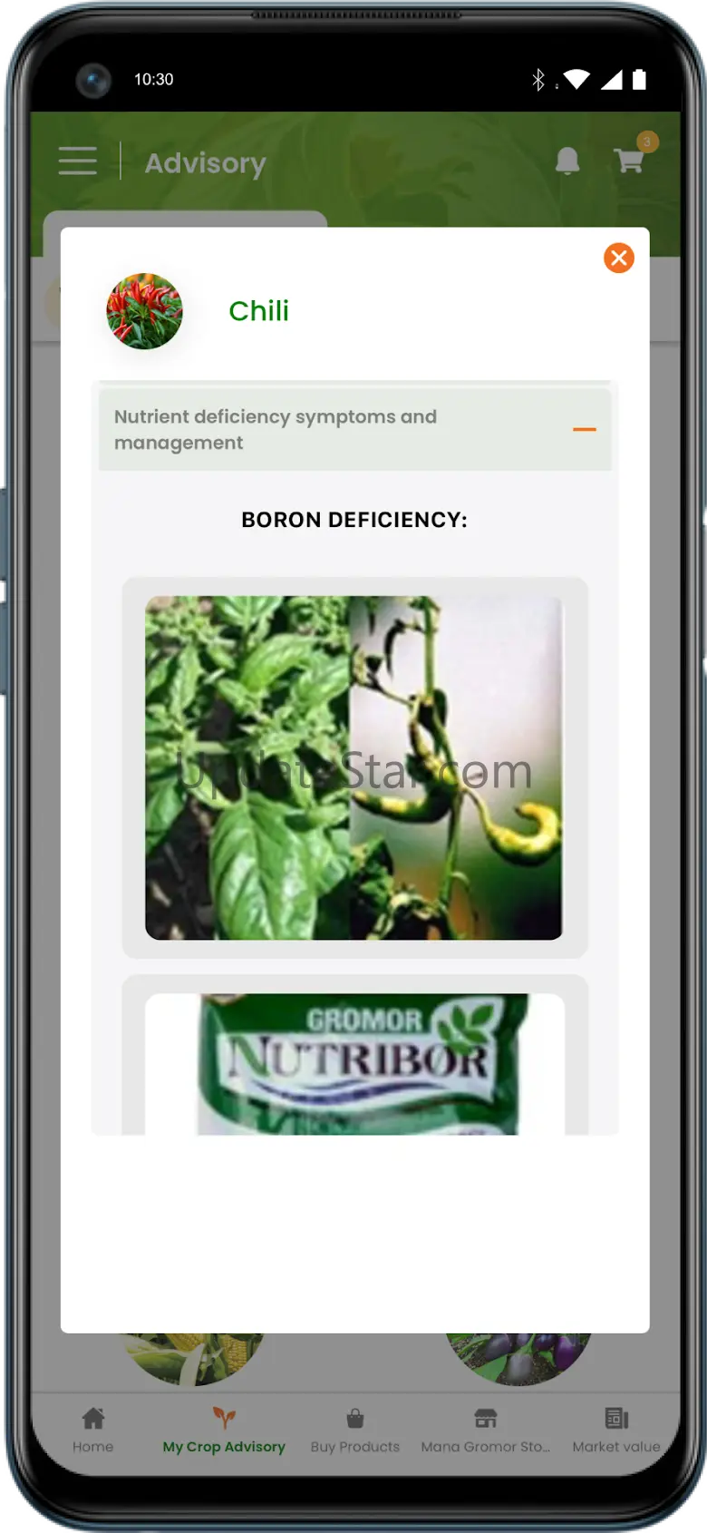 MyGromor 3.33